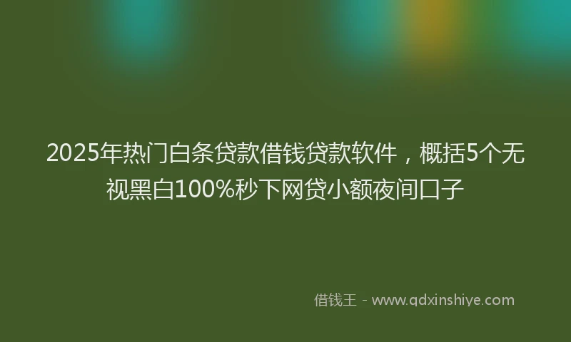 2025年热门白条贷款借钱贷款软件，概括5个无视黑白100%秒下网贷小额夜间口子
