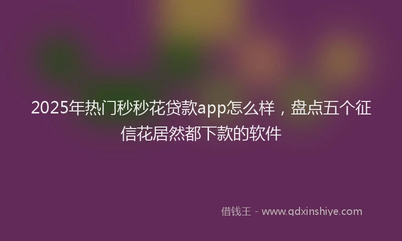 2025年热门秒秒花贷款app怎么样，盘点五个征信花居然都下款的软件