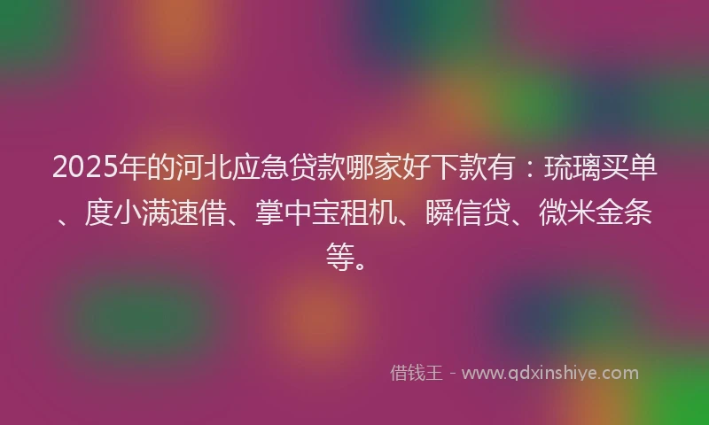 2025年的河北应急贷款哪家好下款有：琉璃买单、度小满速借、掌中宝租机、瞬信贷、微米金条等。
