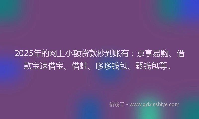 2025年的网上小额贷款秒到账有：京享易购、借款宝速借宝、借蛙、哆哆钱包、甄钱包等。