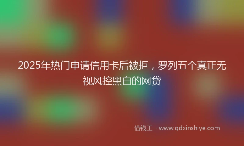 2025年热门申请信用卡后被拒，罗列五个真正无视风控黑白的网贷