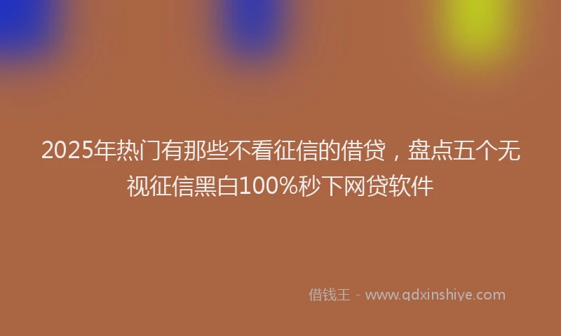 2025年热门有那些不看征信的借贷，盘点五个无视征信黑白100%秒下网贷软件