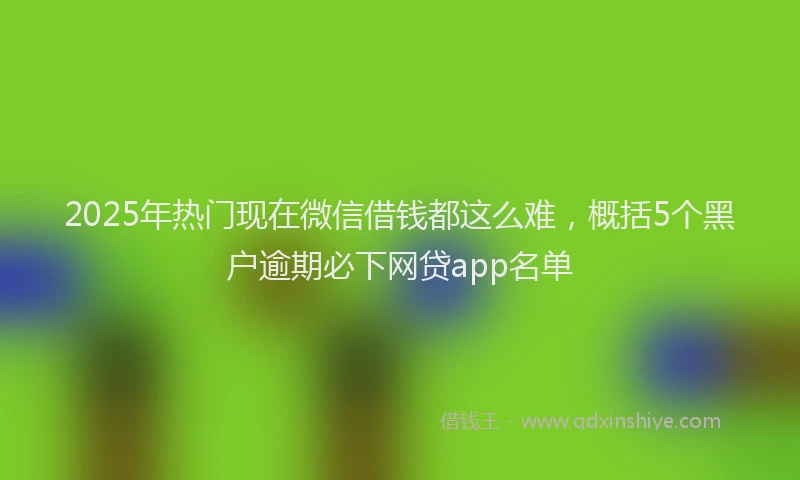 2025年热门现在微信借钱都这么难，概括5个黑户逾期必下网贷app名单