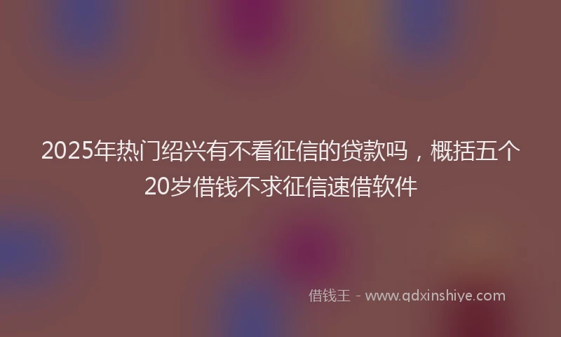 2025年热门绍兴有不看征信的贷款吗，概括五个20岁借钱不求征信速借软件