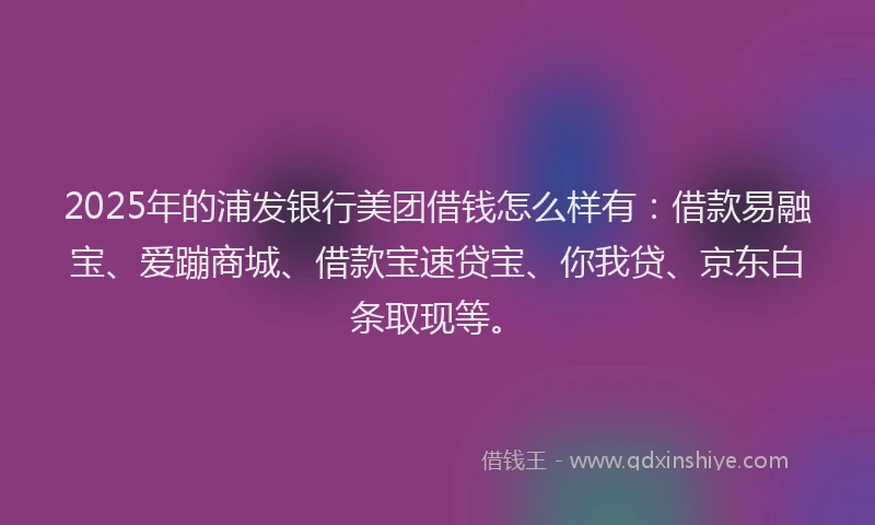 2025年的浦发银行美团借钱怎么样有：借款易融宝、爱蹦商城、借款宝速贷宝、你我贷、京东白条取现等。