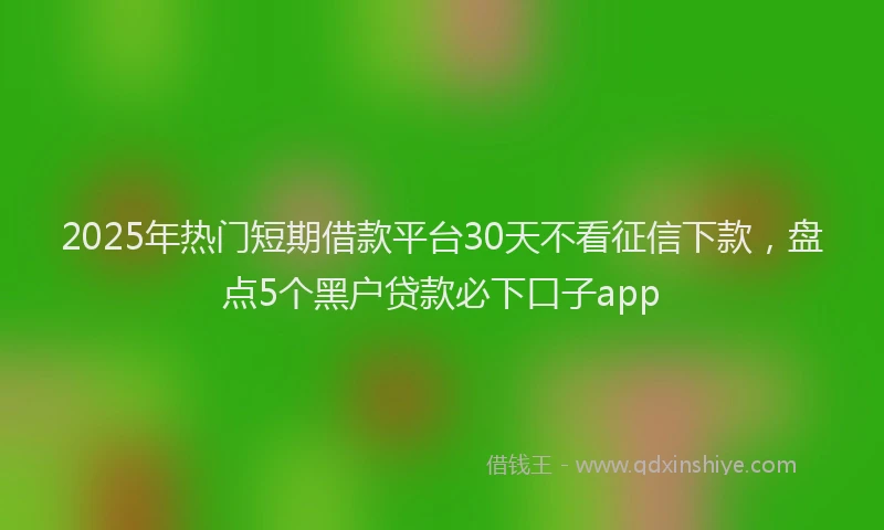 2025年热门短期借款平台30天不看征信下款，盘点5个黑户贷款必下口子app