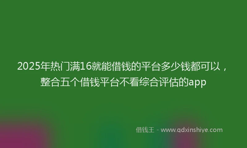 2025年热门满16就能借钱的平台多少钱都可以，整合五个借钱平台不看综合评估的app