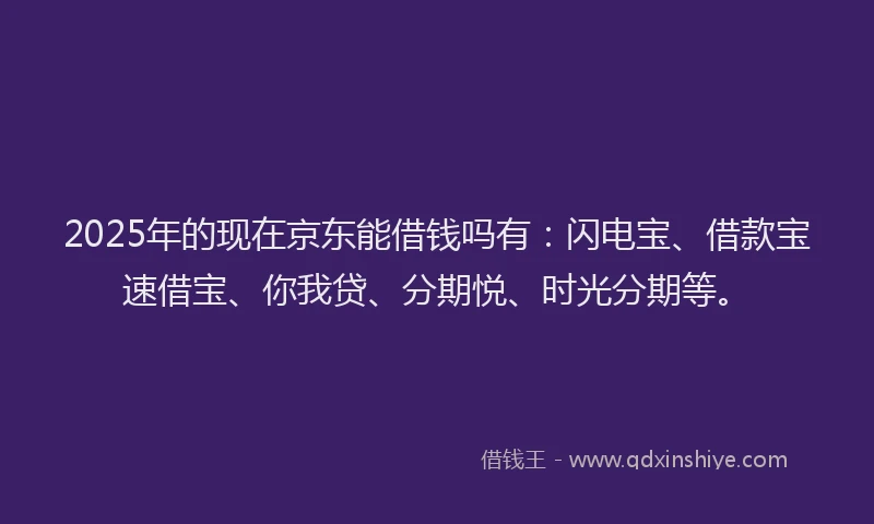 2025年的现在京东能借钱吗有：闪电宝、借款宝速借宝、你我贷、分期悦、时光分期等。