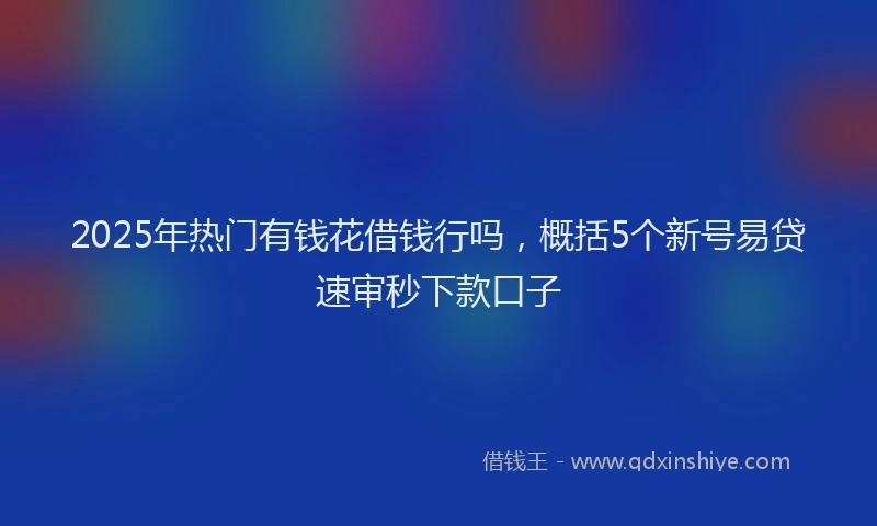 2025年热门有钱花借钱行吗，概括5个新号易贷速审秒下款口子