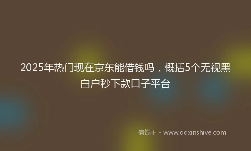 2025年热门现在京东能借钱吗，概括5个无视黑白户秒下款口子平台