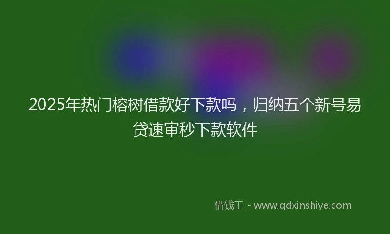 2025年热门榕树借款好下款吗，归纳五个新号易贷速审秒下款软件