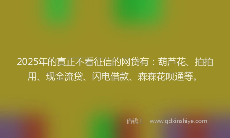 2025年的真正不看征信的网贷有：葫芦花、拍拍用、现金流贷、闪电借款、森森花呗通等。