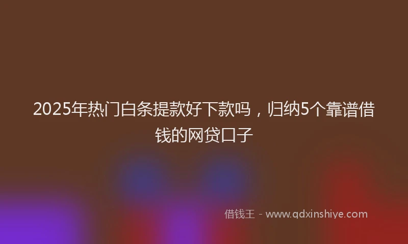 2025年热门白条提款好下款吗，归纳5个靠谱借钱的网贷口子