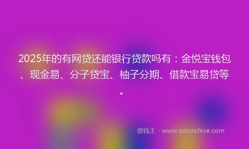 2025年的有网贷还能银行贷款吗有：金悦宝钱包、现金易、分子贷宝、柚子分期、借款宝易贷等。