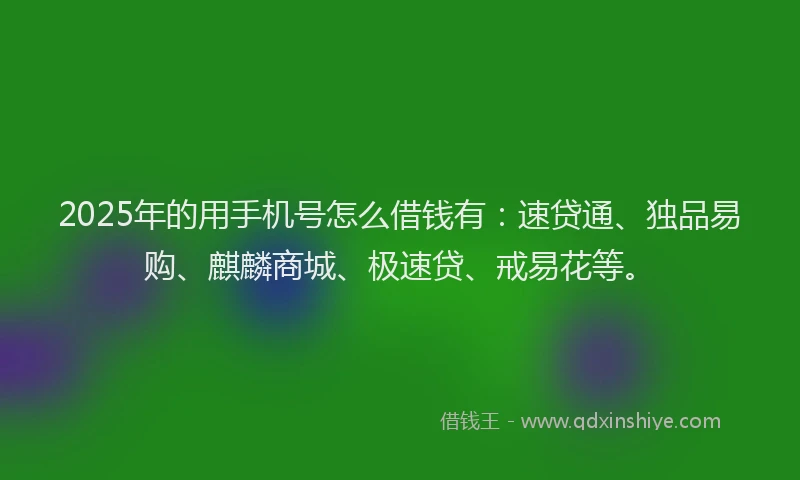 2025年的用手机号怎么借钱有：速贷通、独品易购、麒麟商城、极速贷、戒易花等。