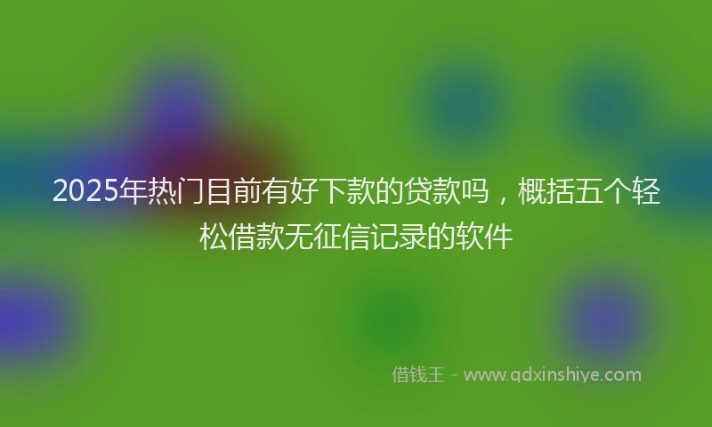 2025年热门目前有好下款的贷款吗，概括五个轻松借款无征信记录的软件