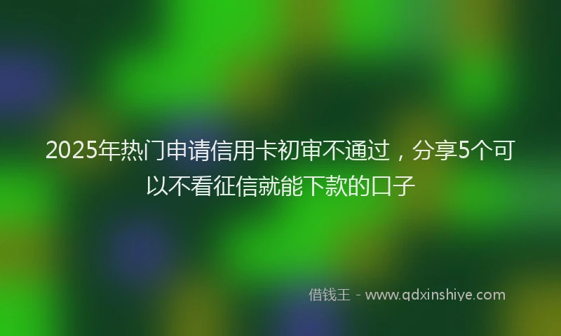 2025年热门申请信用卡初审不通过，分享5个可以不看征信就能下款的口子