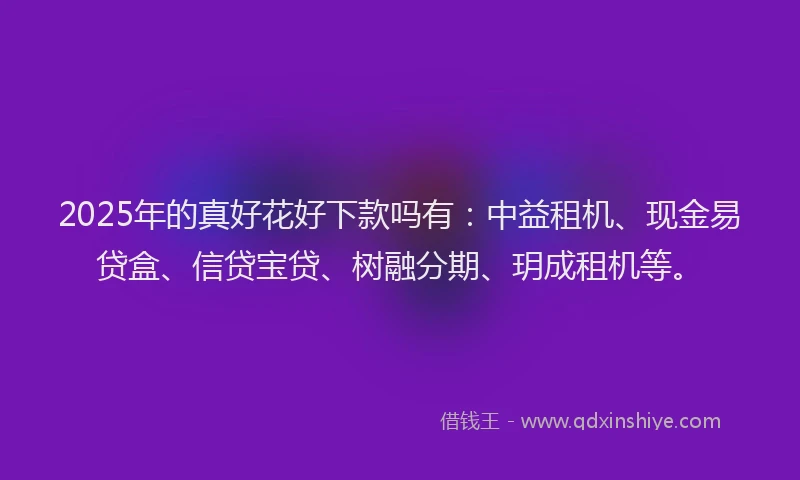 2025年的真好花好下款吗有：中益租机、现金易贷盒、信贷宝贷、树融分期、玥成租机等。