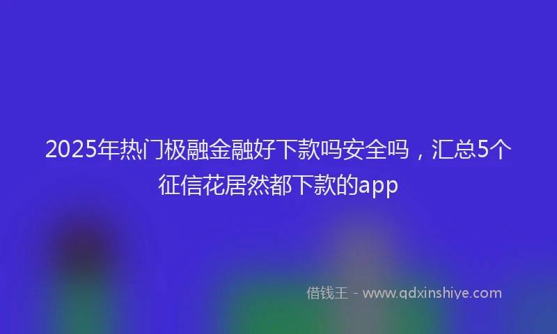 2025年热门极融金融好下款吗安全吗，汇总5个征信花居然都下款的app