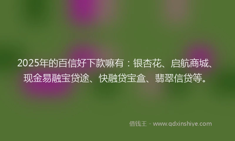 2025年的百信好下款嘛有：银杏花、启航商城、现金易融宝贷途、快融贷宝盒、翡翠信贷等。