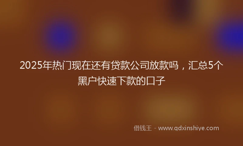 2025年热门现在还有贷款公司放款吗，汇总5个黑户快速下款的口子