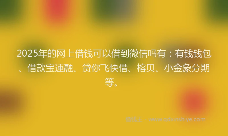 2025年的网上借钱可以借到微信吗有：有钱钱包、借款宝速融、贷你飞快借、榕贝、小金象分期等。