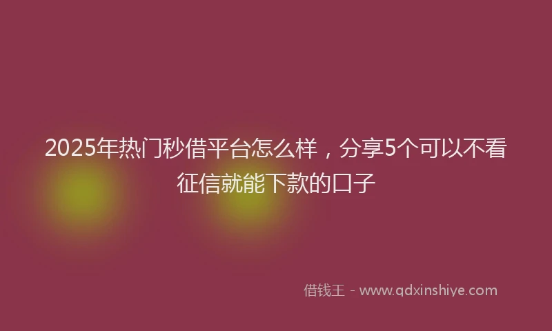 2025年热门秒借平台怎么样，分享5个可以不看征信就能下款的口子