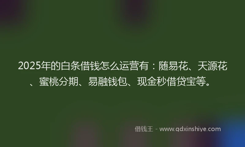 2025年的白条借钱怎么运营有：随易花、天源花、蜜桃分期、易融钱包、现金秒借贷宝等。