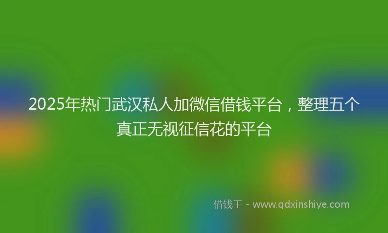 2025年热门武汉私人加微信借钱平台，整理五个真正无视征信花的平台