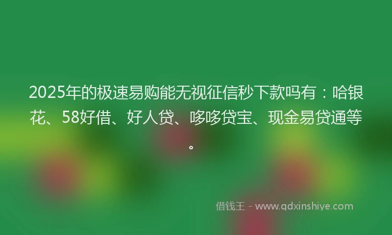 2025年的极速易购能无视征信秒下款吗有：哈银花、58好借、好人贷、哆哆贷宝、现金易贷通等。