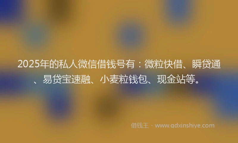 2025年的私人微信借钱号有：微粒快借、瞬贷通、易贷宝速融、小麦粒钱包、现金站等。