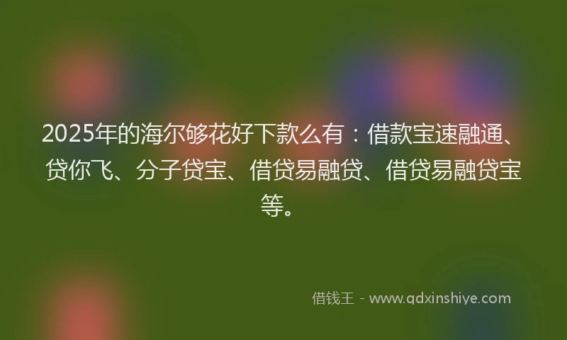 2025年的海尔够花好下款么有：借款宝速融通、贷你飞、分子贷宝、借贷易融贷、借贷易融贷宝等。