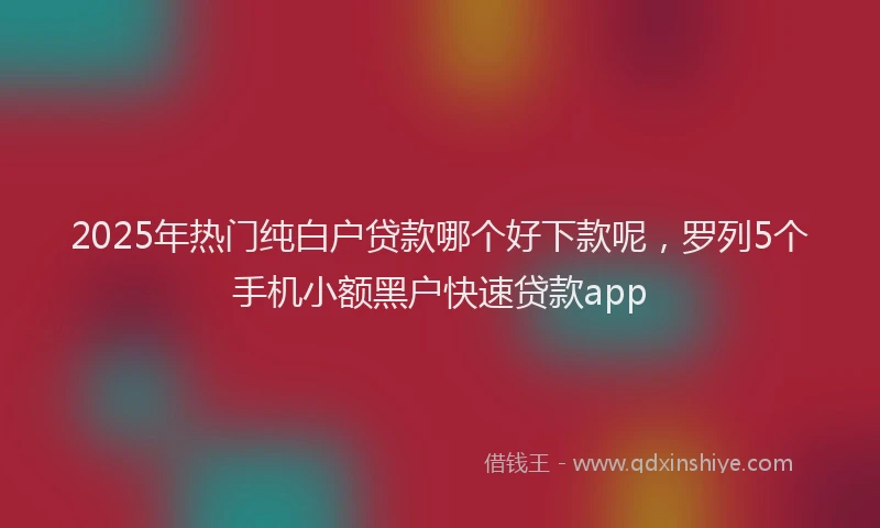 2025年热门纯白户贷款哪个好下款呢，罗列5个手机小额黑户快速贷款app