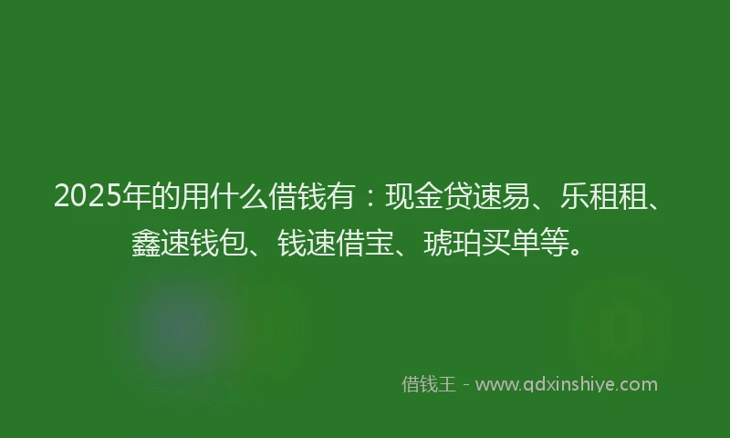 2025年的用什么借钱有：现金贷速易、乐租租、鑫速钱包、钱速借宝、琥珀买单等。