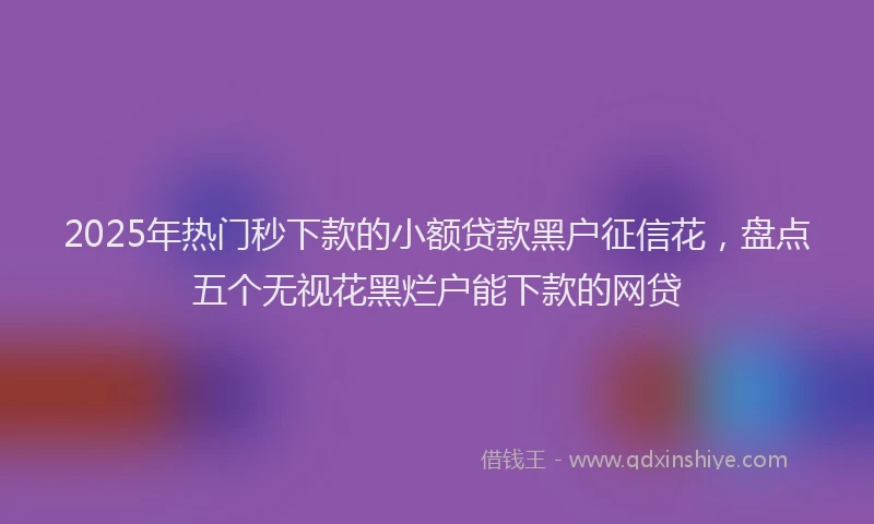 2025年热门秒下款的小额贷款黑户征信花，盘点五个无视花黑烂户能下款的网贷