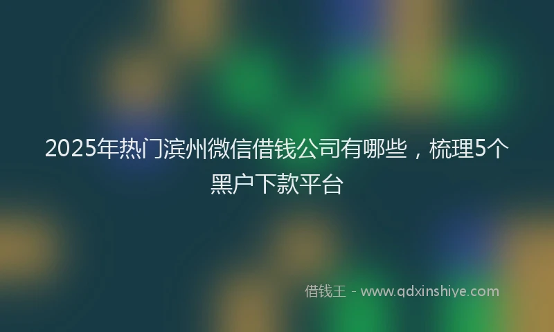 2025年热门滨州微信借钱公司有哪些，梳理5个黑户下款平台