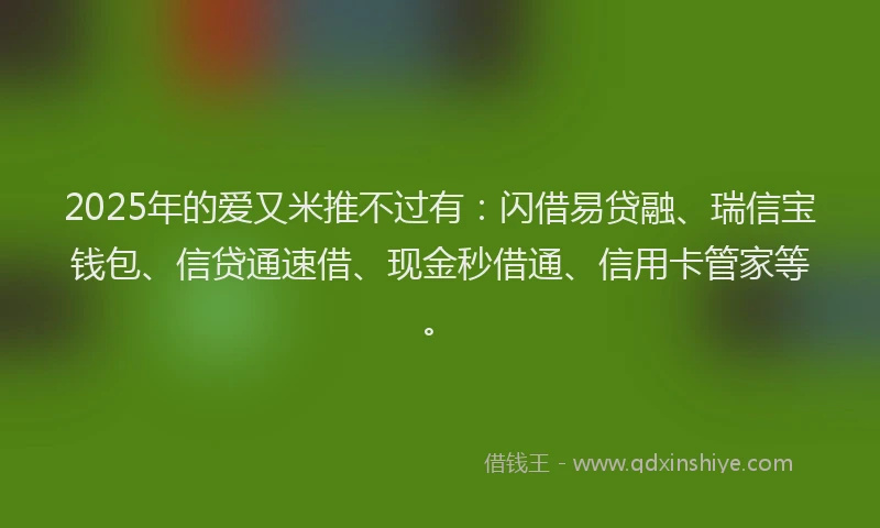 2025年的爱又米推不过有：闪借易贷融、瑞信宝钱包、信贷通速借、现金秒借通、信用卡管家等。