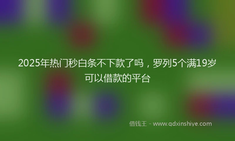 2025年热门秒白条不下款了吗，罗列5个满19岁可以借款的平台