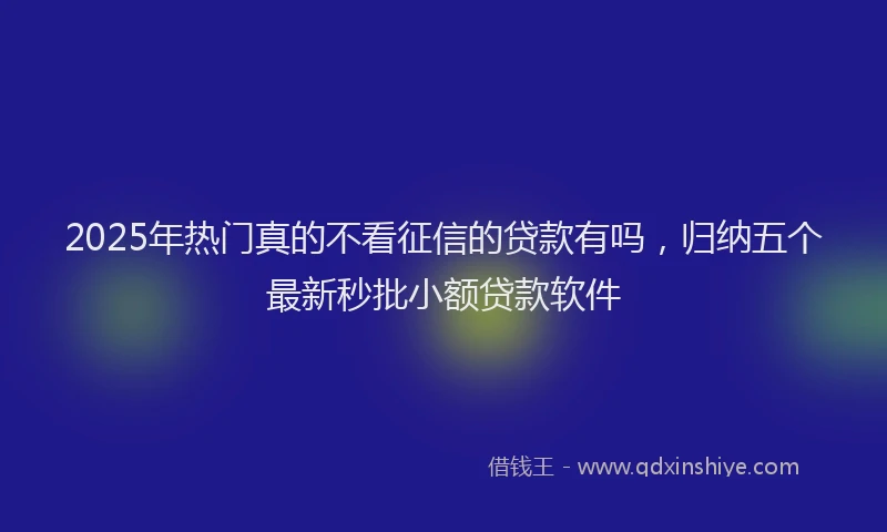 2025年热门真的不看征信的贷款有吗，归纳五个最新秒批小额贷款软件