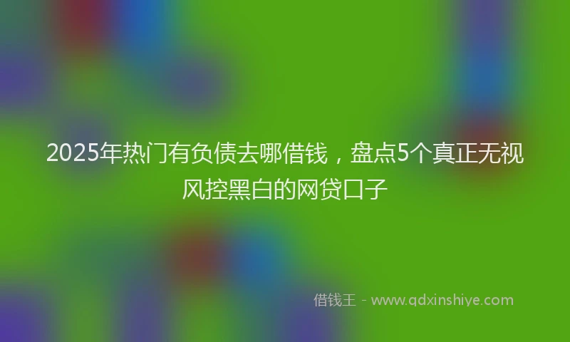 2025年热门有负债去哪借钱，盘点5个真正无视风控黑白的网贷口子