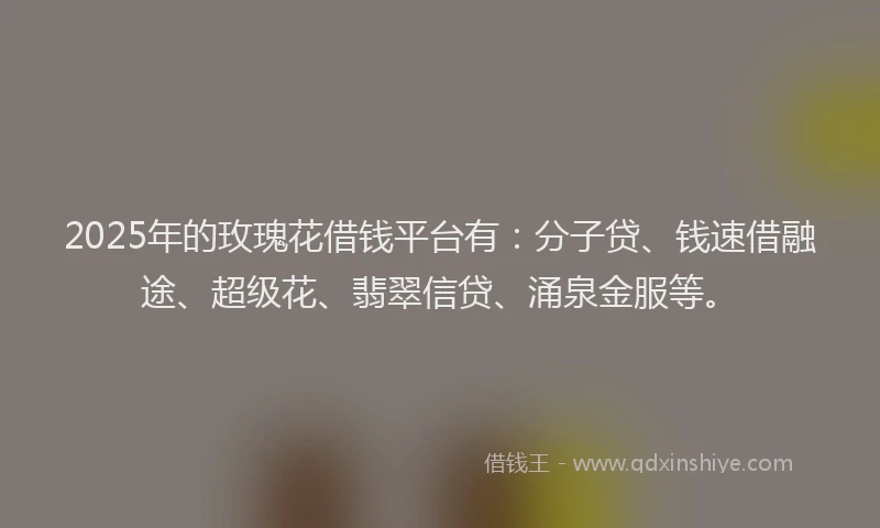 2025年的玫瑰花借钱平台有：分子贷、钱速借融途、超级花、翡翠信贷、涌泉金服等。
