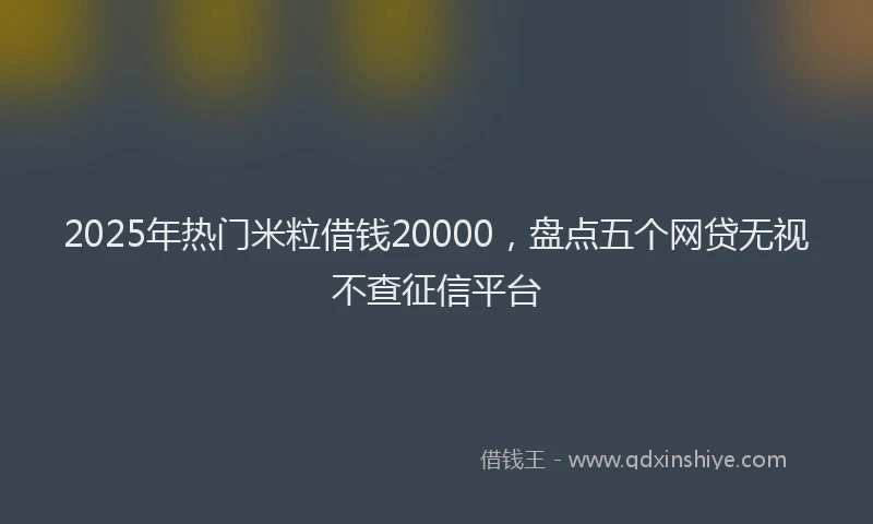2025年热门米粒借钱20000，盘点五个网贷无视不查征信平台