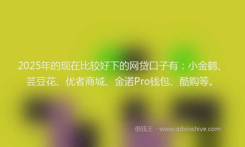 2025年的现在比较好下的网贷口子有：小金鹤、芸豆花、优者商城、金诺Pro钱包、酷购等。