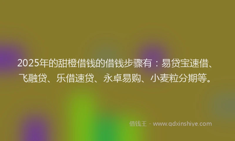 2025年的甜橙借钱的借钱步骤有：易贷宝速借、飞融贷、乐借速贷、永卓易购、小麦粒分期等。