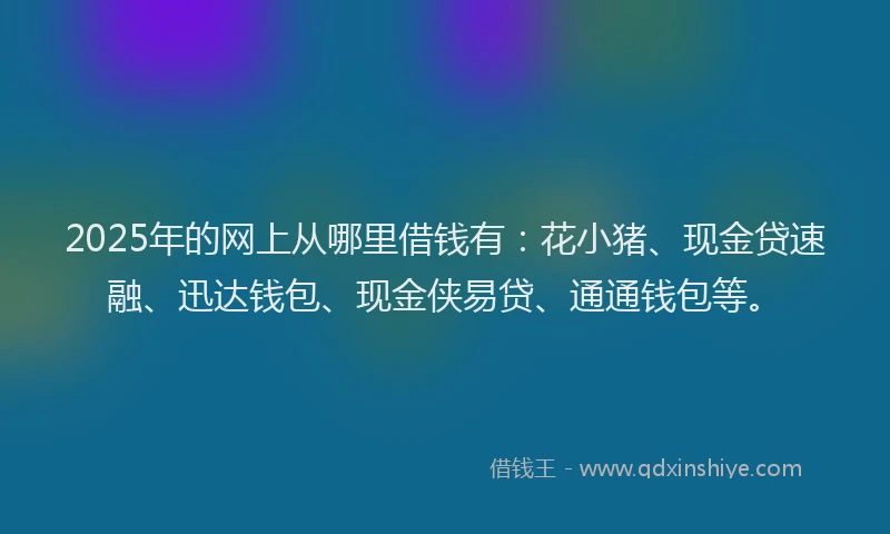 2025年的网上从哪里借钱有：花小猪、现金贷速融、迅达钱包、现金侠易贷、通通钱包等。