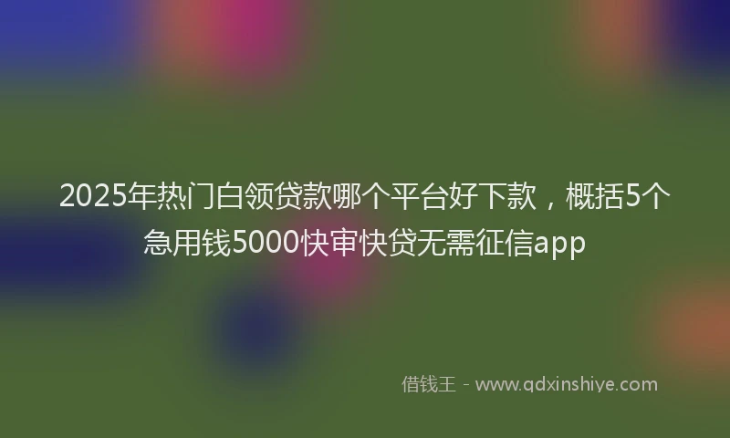 2025年热门白领贷款哪个平台好下款，概括5个急用钱5000快审快贷无需征信app
