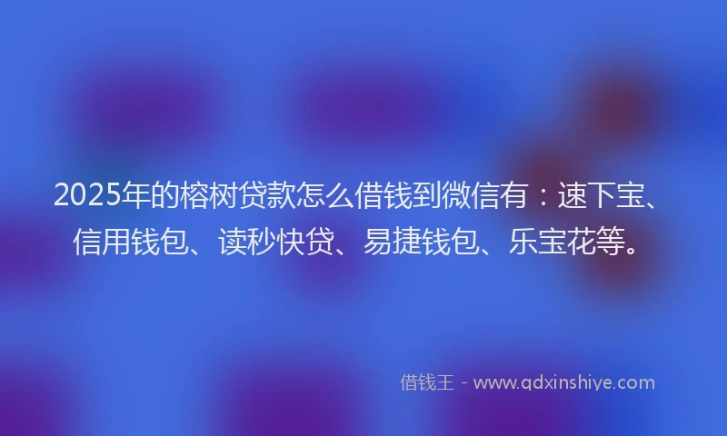 2025年的榕树贷款怎么借钱到微信有：速下宝、信用钱包、读秒快贷、易捷钱包、乐宝花等。