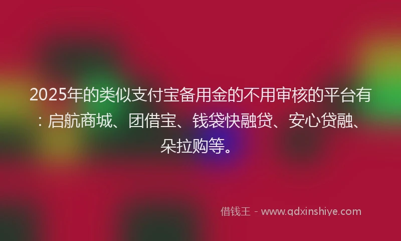 2025年的类似支付宝备用金的不用审核的平台有：启航商城、团借宝、钱袋快融贷、安心贷融、朵拉购等。