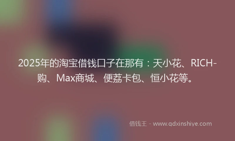 2025年的淘宝借钱口子在那有：天小花、RICH-购、Max商城、便荔卡包、恒小花等。