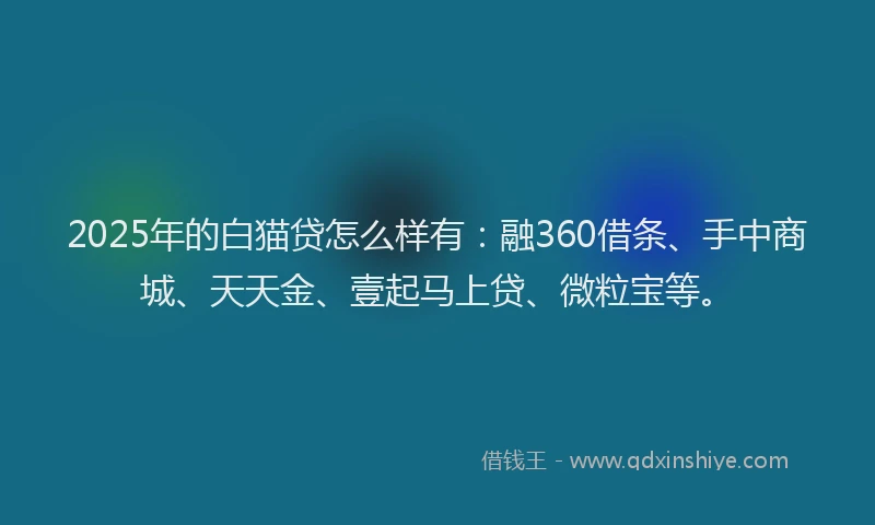 2025年的白猫贷怎么样有：融360借条、手中商城、天天金、壹起马上贷、微粒宝等。